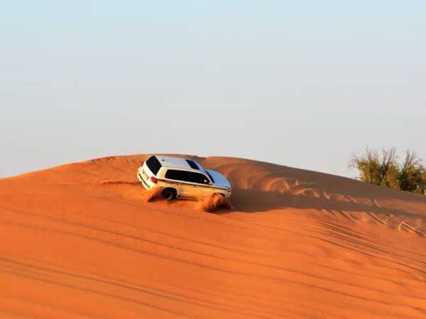 Abu Dhabi morning desert safari with camel ride
